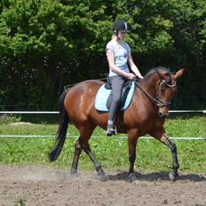 Anden særlig race Annabell