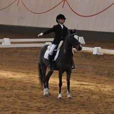 Anden særlig race Ponygårdens Mikkel Danmarksmester x 2 SOLGT