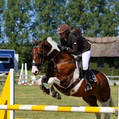 Irsk Sportspony Maglebjergs Miss Heaven B- pony