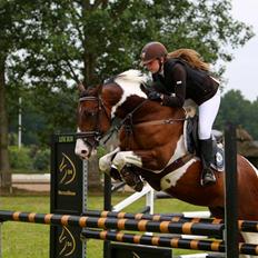 Irsk Sportspony Maglebjergs Miss Heaven B- pony