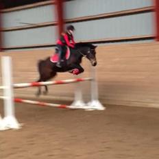 DSP Coco, du vil altid være i mit hjerte <3