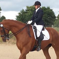 Dansk Varmblod 'Part* Largo Fresco