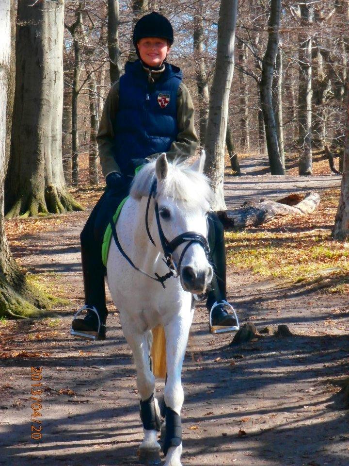 Anden særlig race Hovmarkens Lollipop R.I.P 11.12.13 - Dejlig tur i skoven
 billede 15