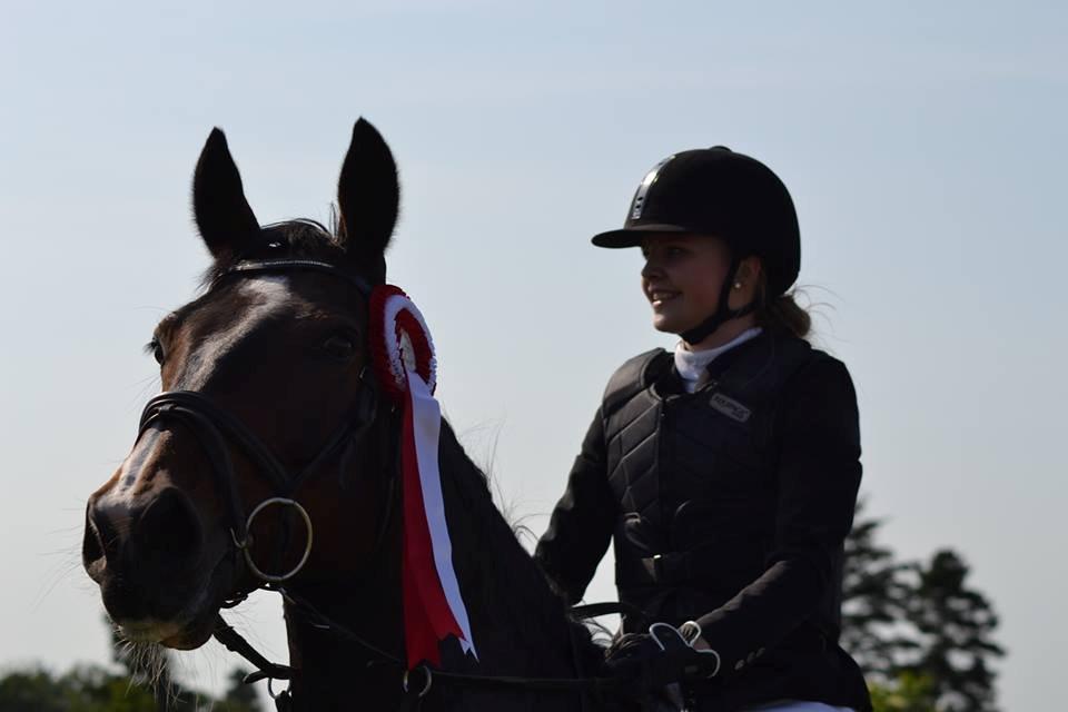 Dansk Varmblod Bjergmoses Lucky Lady - Rød roset - lige for en gangs skyld billede 9