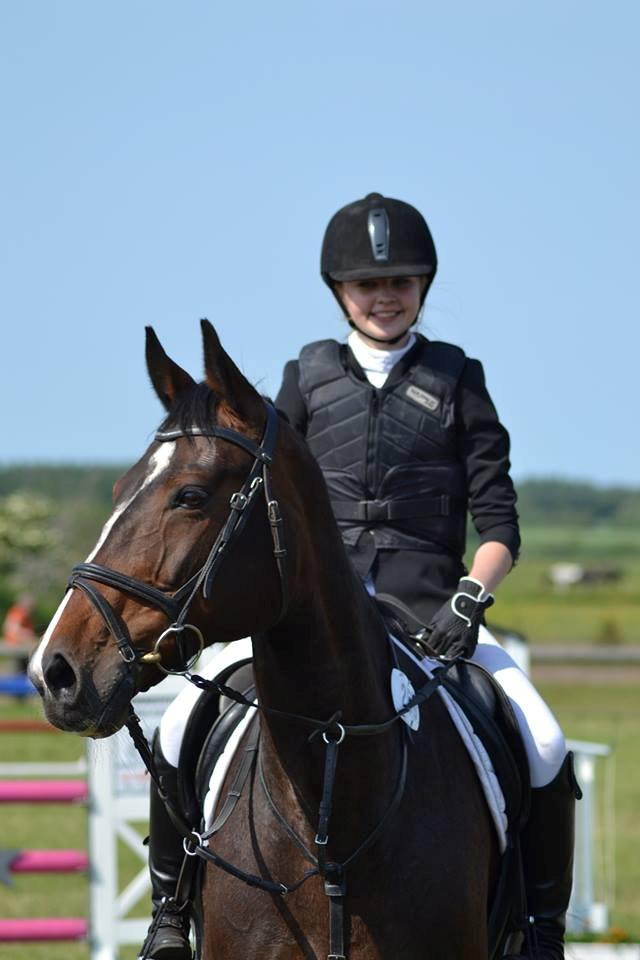 Dansk Varmblod Bjergmoses Lucky Lady billede 11