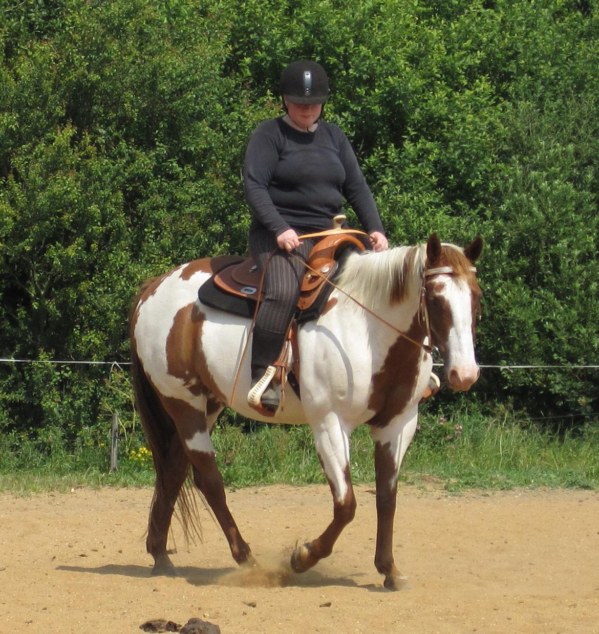 Paint SUPREME MEGA SNOW billede 9