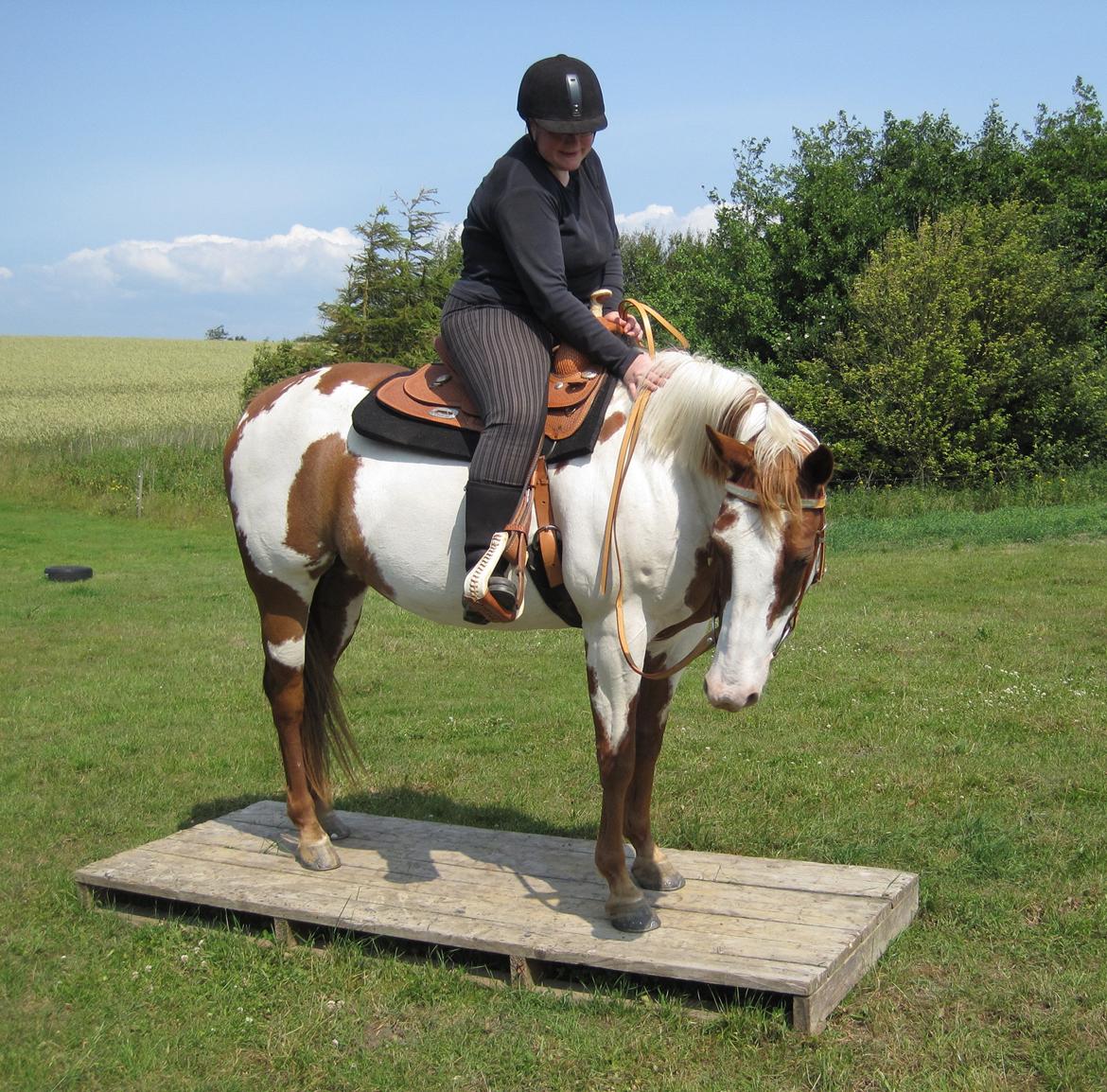 Paint SUPREME MEGA SNOW billede 12