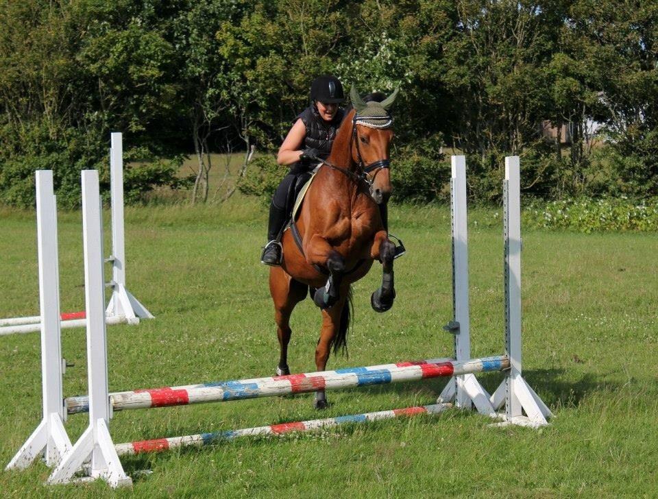 Holstener Flair billede 21