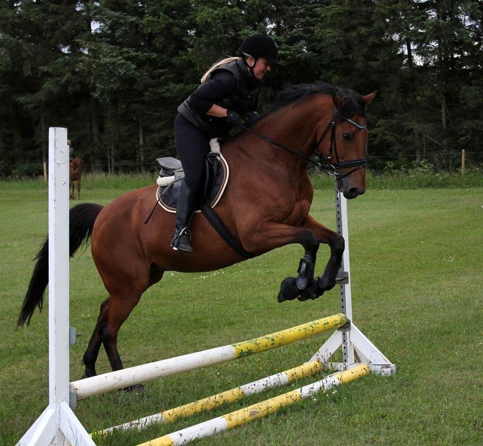 Holstener Flair billede 22