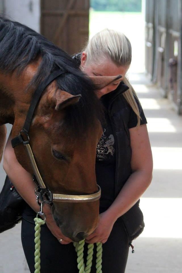 Holstener Flair billede 23