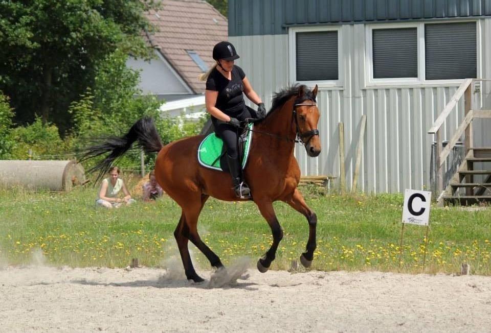 Holstener Flair billede 20