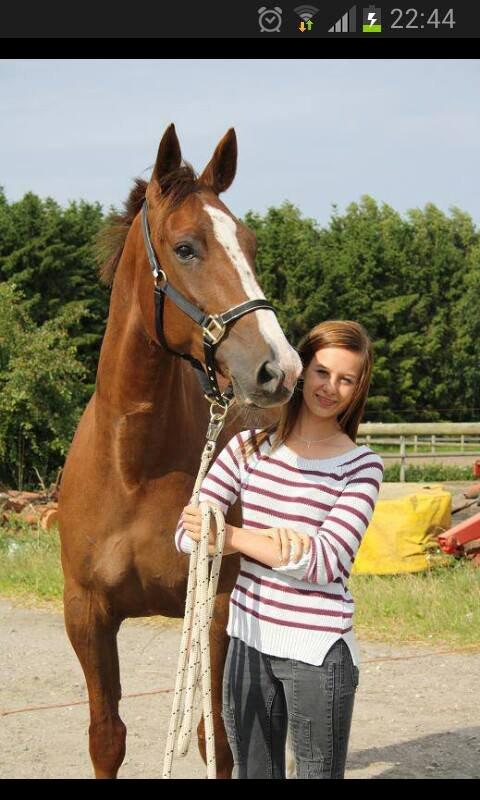 Traver Powerful Winning billede 1