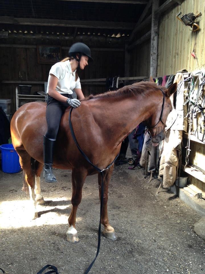 Traver Powerful Winning billede 9