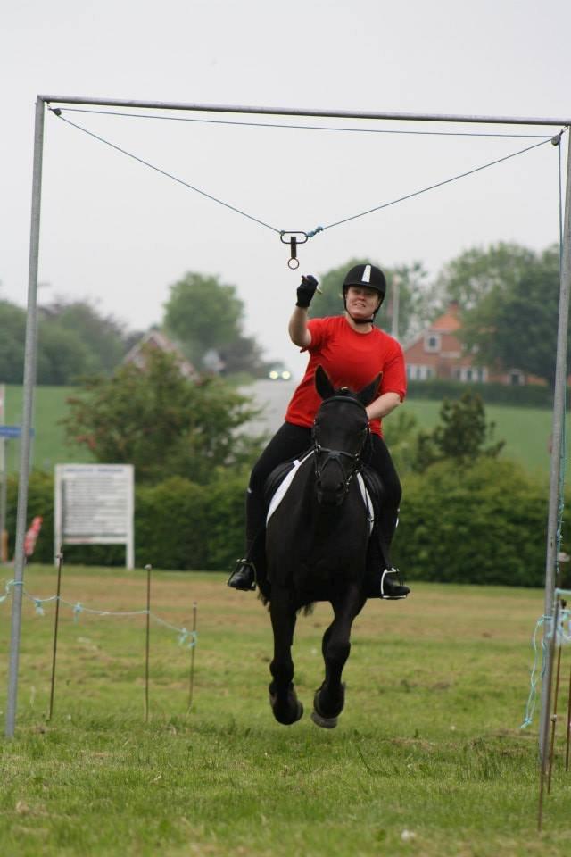 Anden særlig race Ydun - Ringridning, med ejer!  billede 9