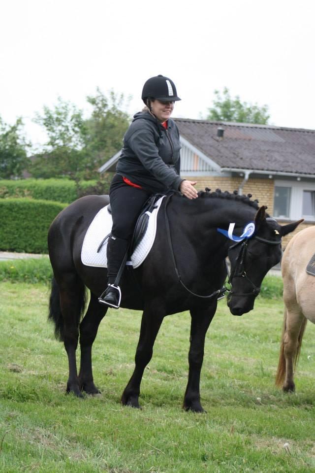 Anden særlig race Ydun - Tillykke! 2 plads med Ejer (ringridning) billede 10