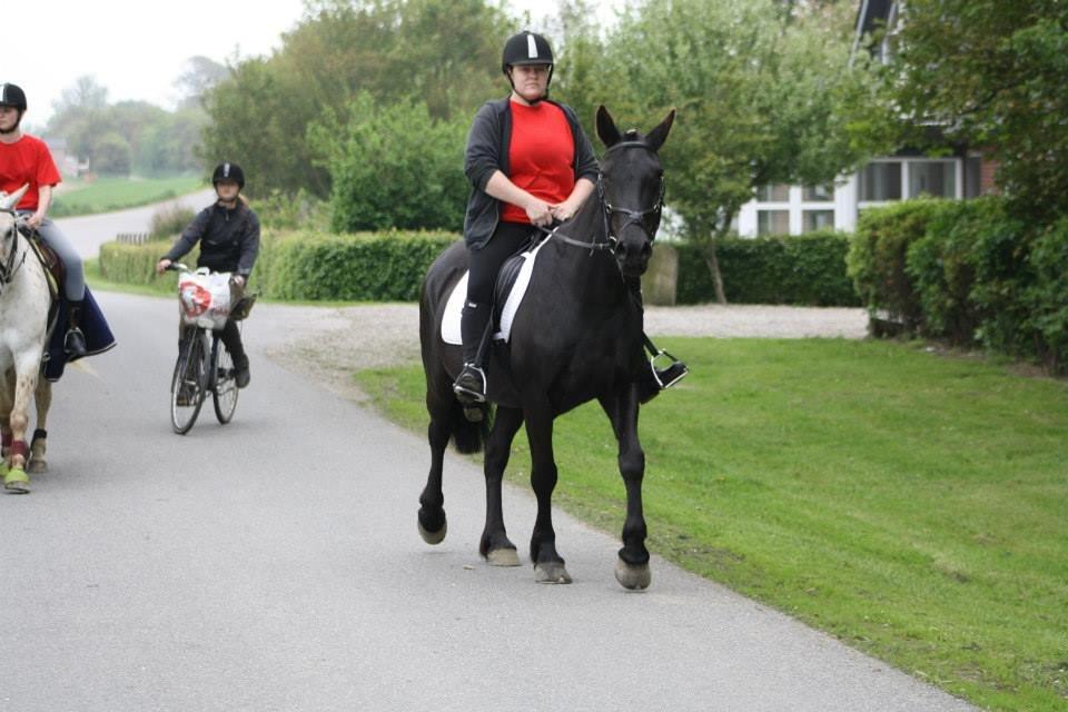 Anden særlig race Ydun billede 11