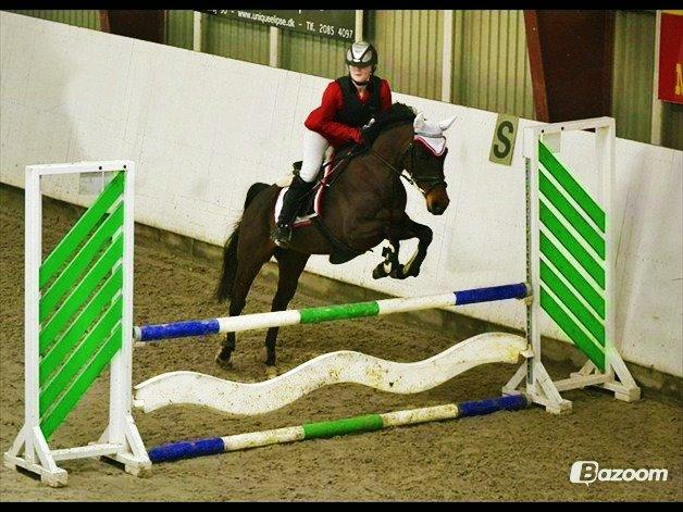 DSP Day-lights naomi billede 48