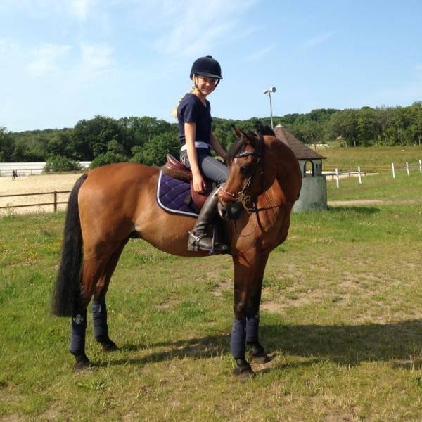 Welsh Pony (sec B) Victoria Madly <3 (A pony) - min seje pony dagen efter vores første LA*/LA** billede 19