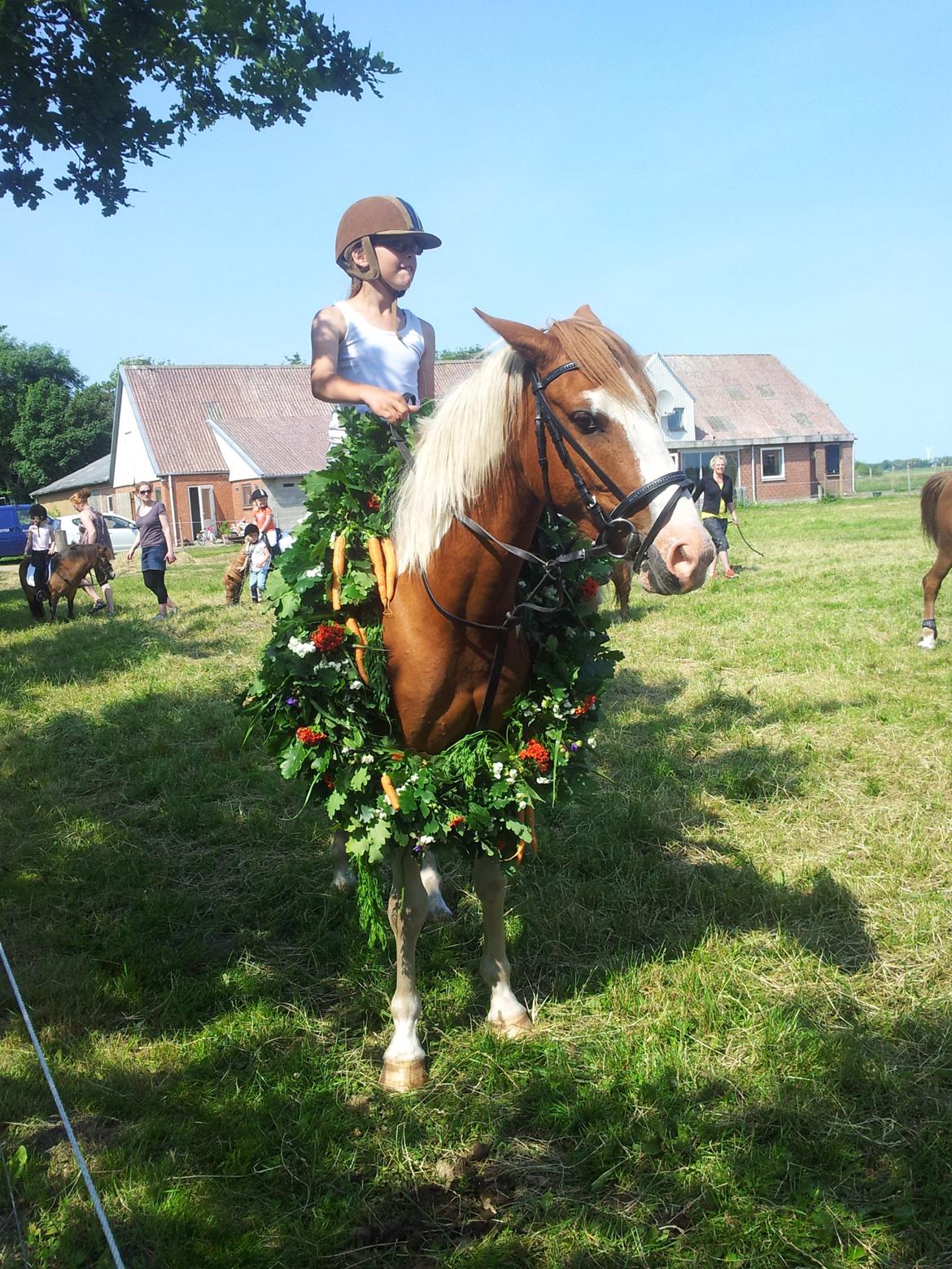Pinto Indurain Delight - Den Brogede Skønhed - 1 Ringridning i dit Liv.
Og vi blev konge (1 Plads)
Så stolt af min dreng billede 30