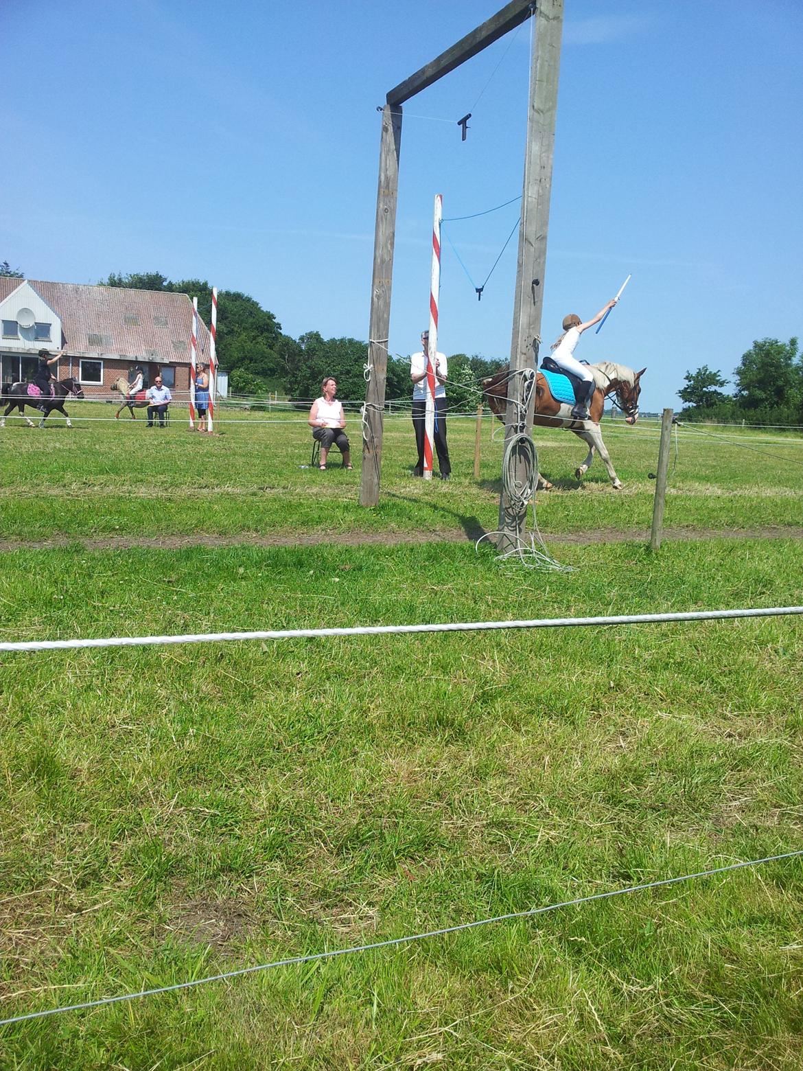 Pinto Indurain Delight - Den Brogede Skønhed - Så fik vi den Sidste Ring.
Vi blev Konge ( 1 Plads) billede 35