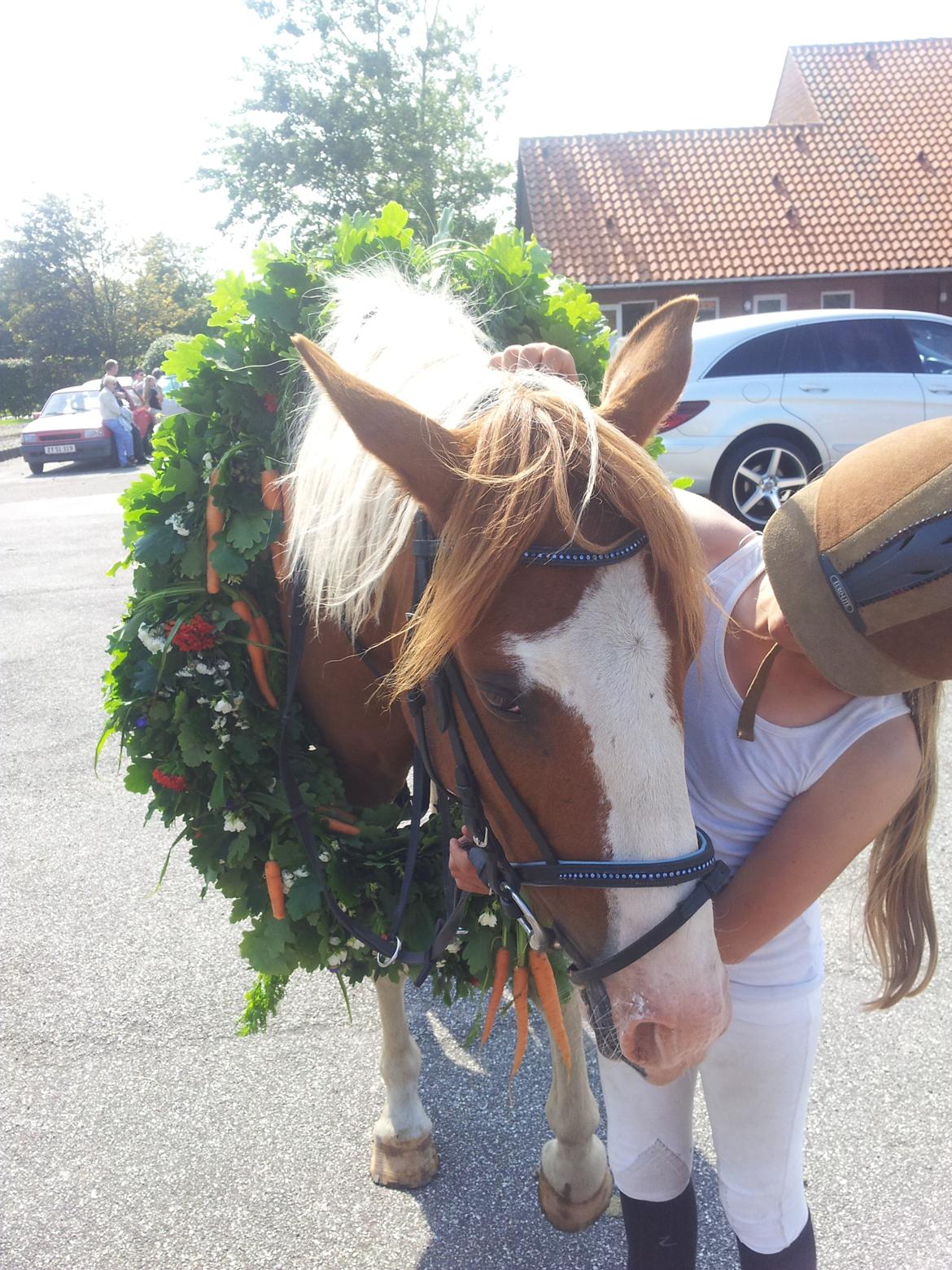 Pinto Indurain Delight - Den Brogede Skønhed - Elsker dig Virkeligt Skat billede 50
