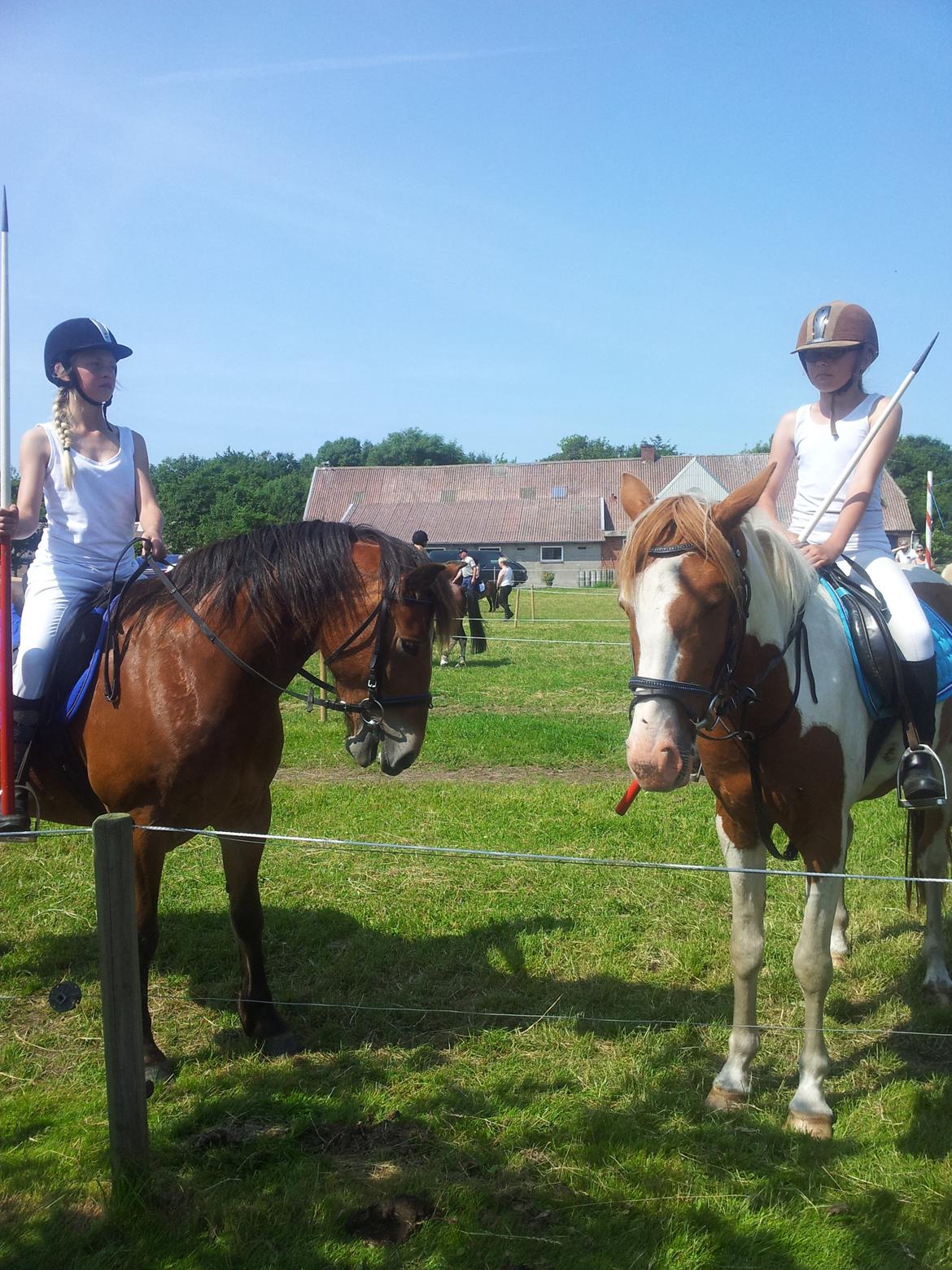 Pinto Indurain Delight - Den Brogede Skønhed - Mig, Indu, Nicki Og Tarzan
Bedste Venner billede 44