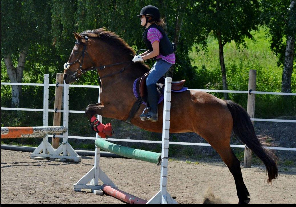 New Forest Megan - Min frygt for at miste igen kan ikke beskrives, bare tanken om at en dag så er min pony der ikke mere, kan få mig til at græde. Jeg er så bange for at miste. Jeg er svag, næsten ingen skal der til før jeg bliver såret. Mit tab har gjort mig svag. Frygt ka billede 5