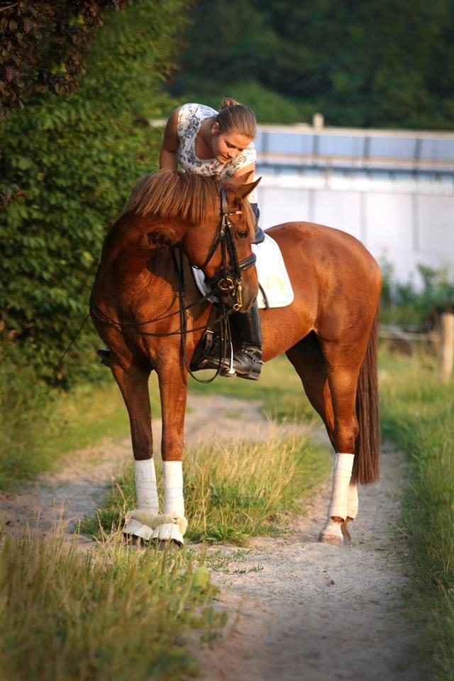 Anden særlig race Lyrique - Min soulmate <3 billede 1
