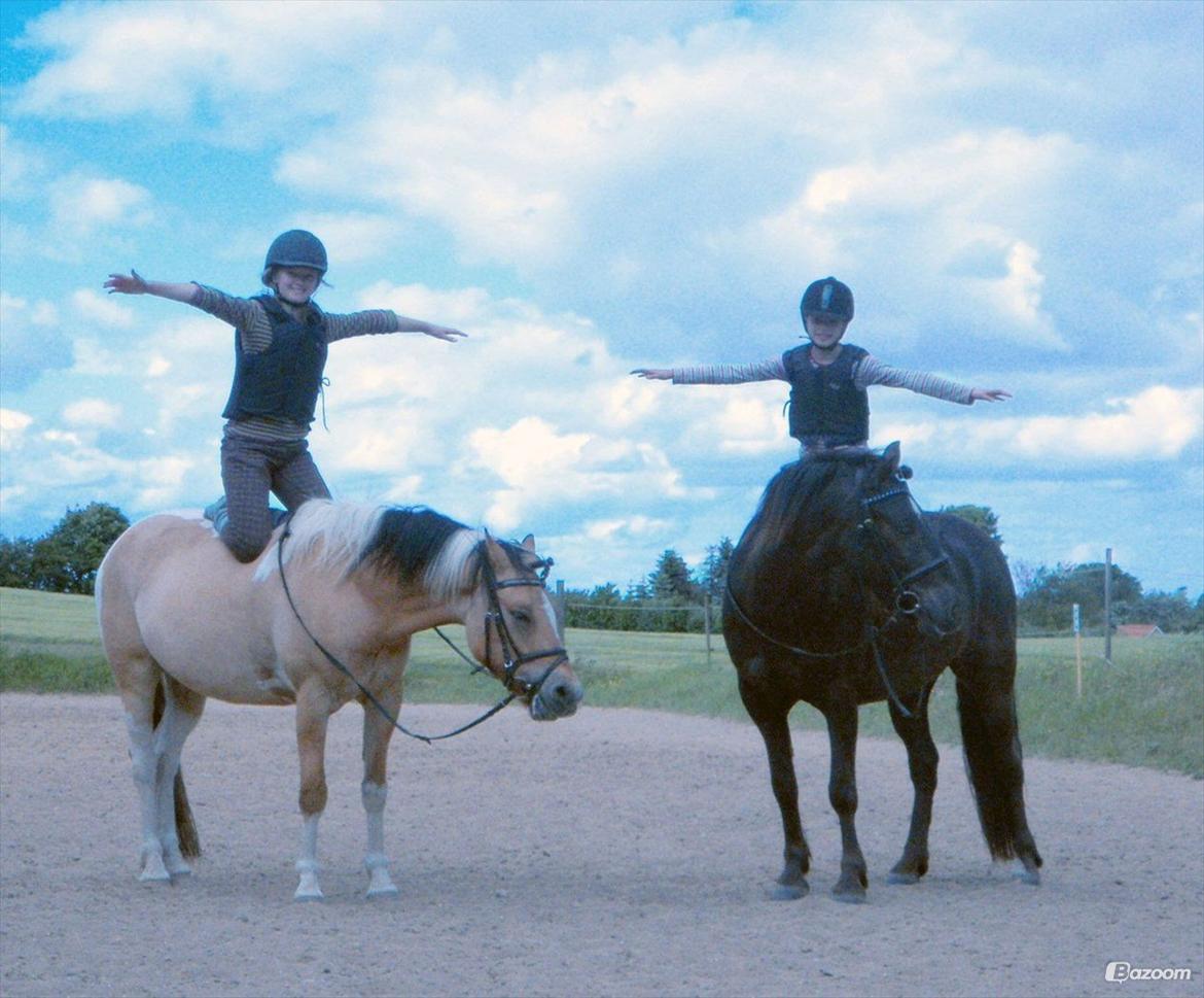 Anden særlig race Østerstrovstrups Sisco<3 - Mig og Anne Katrine igen :D <3 billede 30