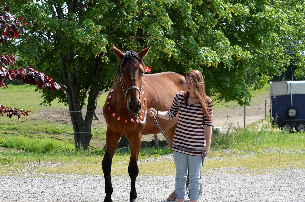 Anden særlig race Enghavegaards Fifty Cent - 13-07-2013 Fiftys fødselsdag billede 15