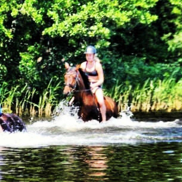 Dansk Varmblod Ellegaards Atea - Ridelejr 2013. billede 9