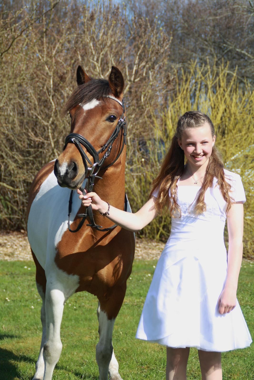 Anden særlig race Mille - Til stines konfirmation billede 3