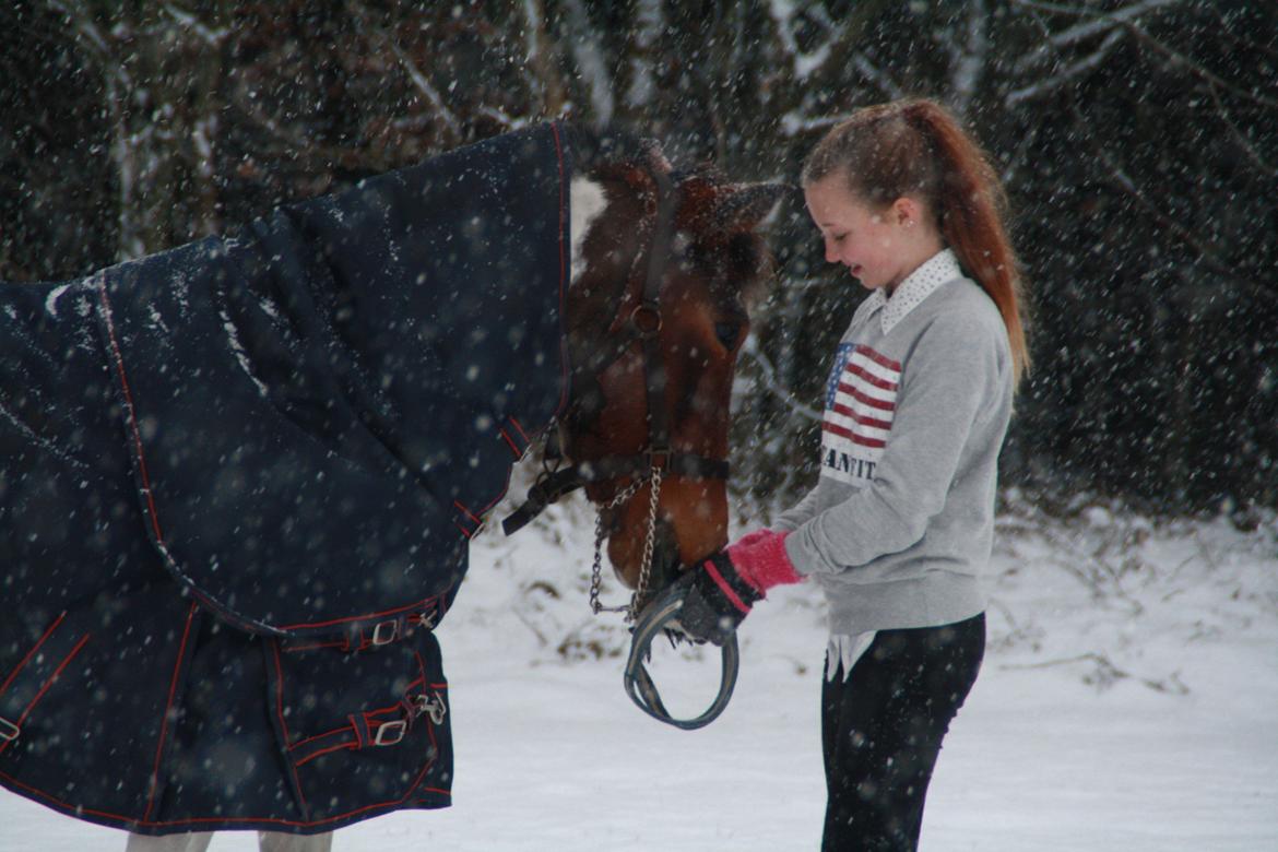 Anden særlig race Mille billede 19