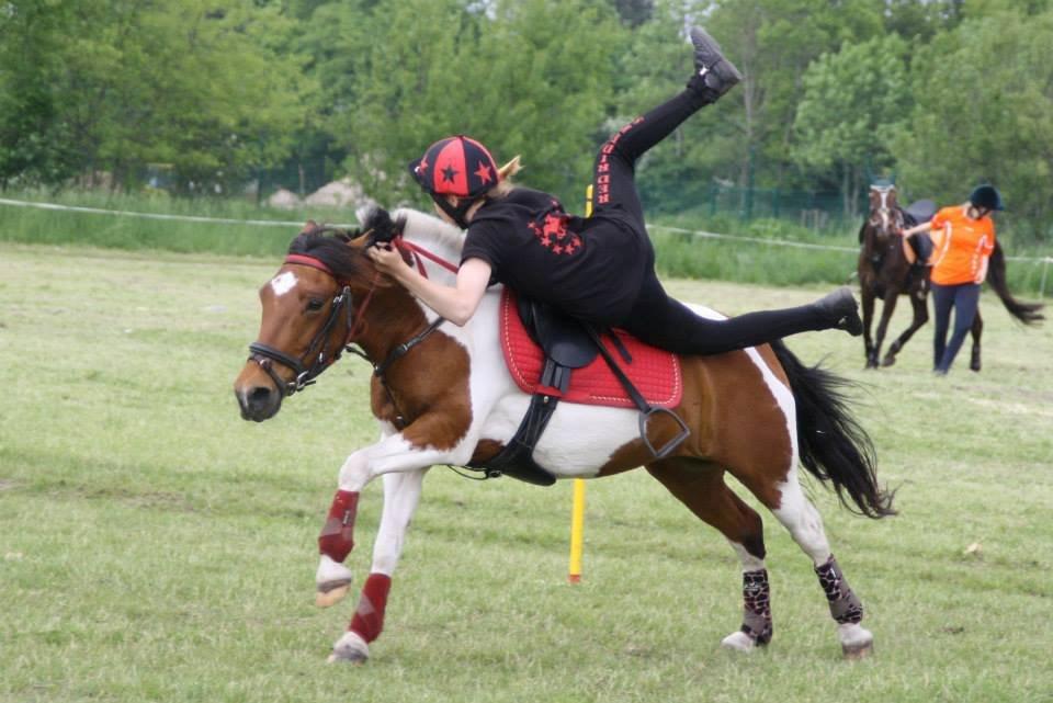 Anden særlig race Mille billede 27