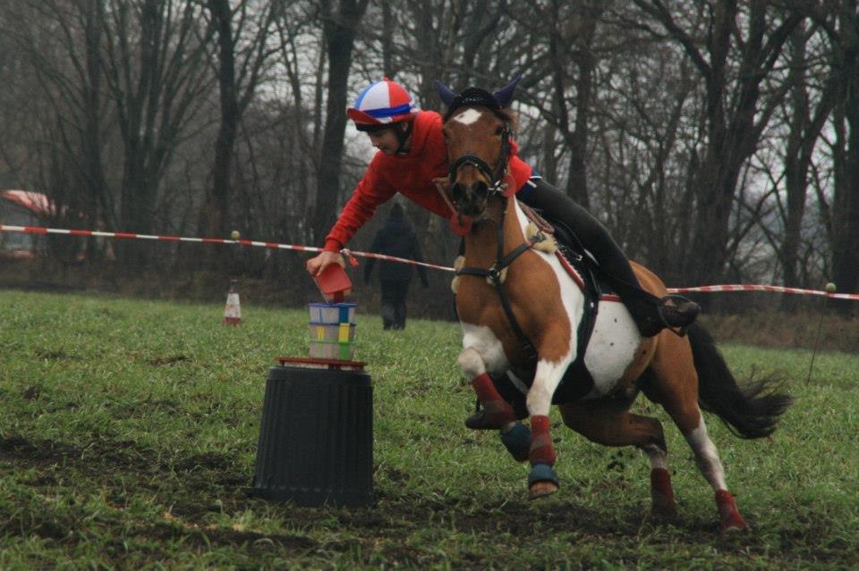Anden særlig race Mille billede 4