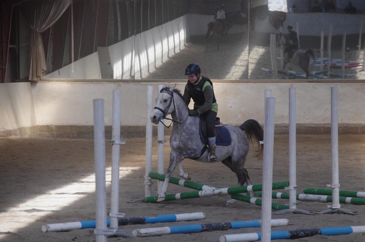 Anden særlig race Merlin - Det aller første spring :-) billede 3