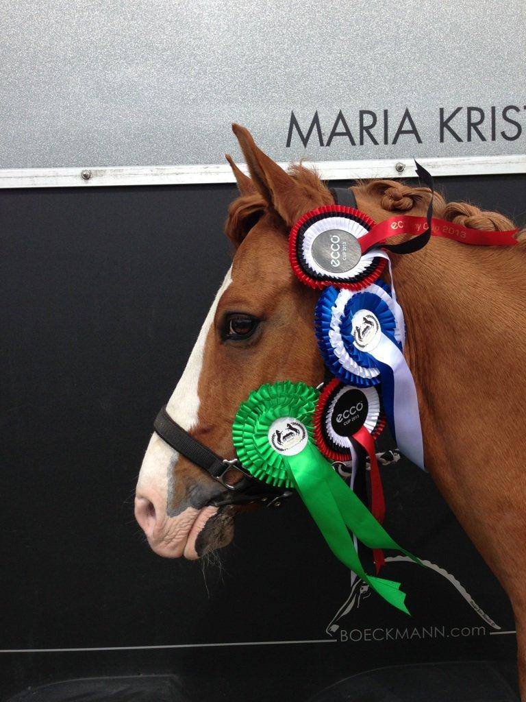 Tysk Sportspony Proud Don Caruso A-PONY - Andet landstævne, Ecco Cup. Placeringer alle dage. billede 13