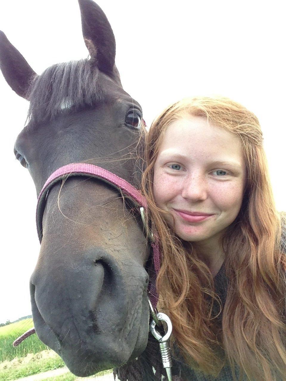 New Forest Løgtholt´s Bastian <3  - vis man blev sat i fængsel for at være smuk, skulle du have livstid <3<3<3 billede 18