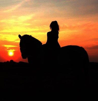 Fjordhest Fie - min lille søster og fie billede 15