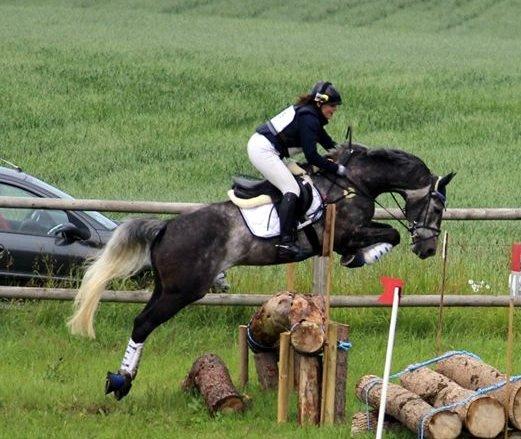 Dansk Varmblod LE-QUI'TO billede 13