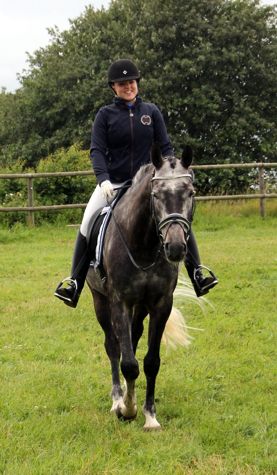 Dansk Varmblod LE-QUI'TO billede 15