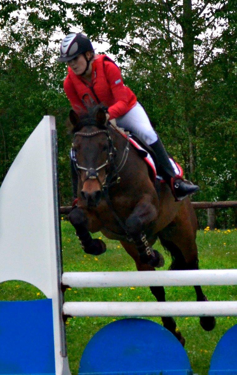 Hollandsk Sportspony JOLANDA SOLGT <3 - Syg sej pony i de der vendingerxD (Vandt) billede 36