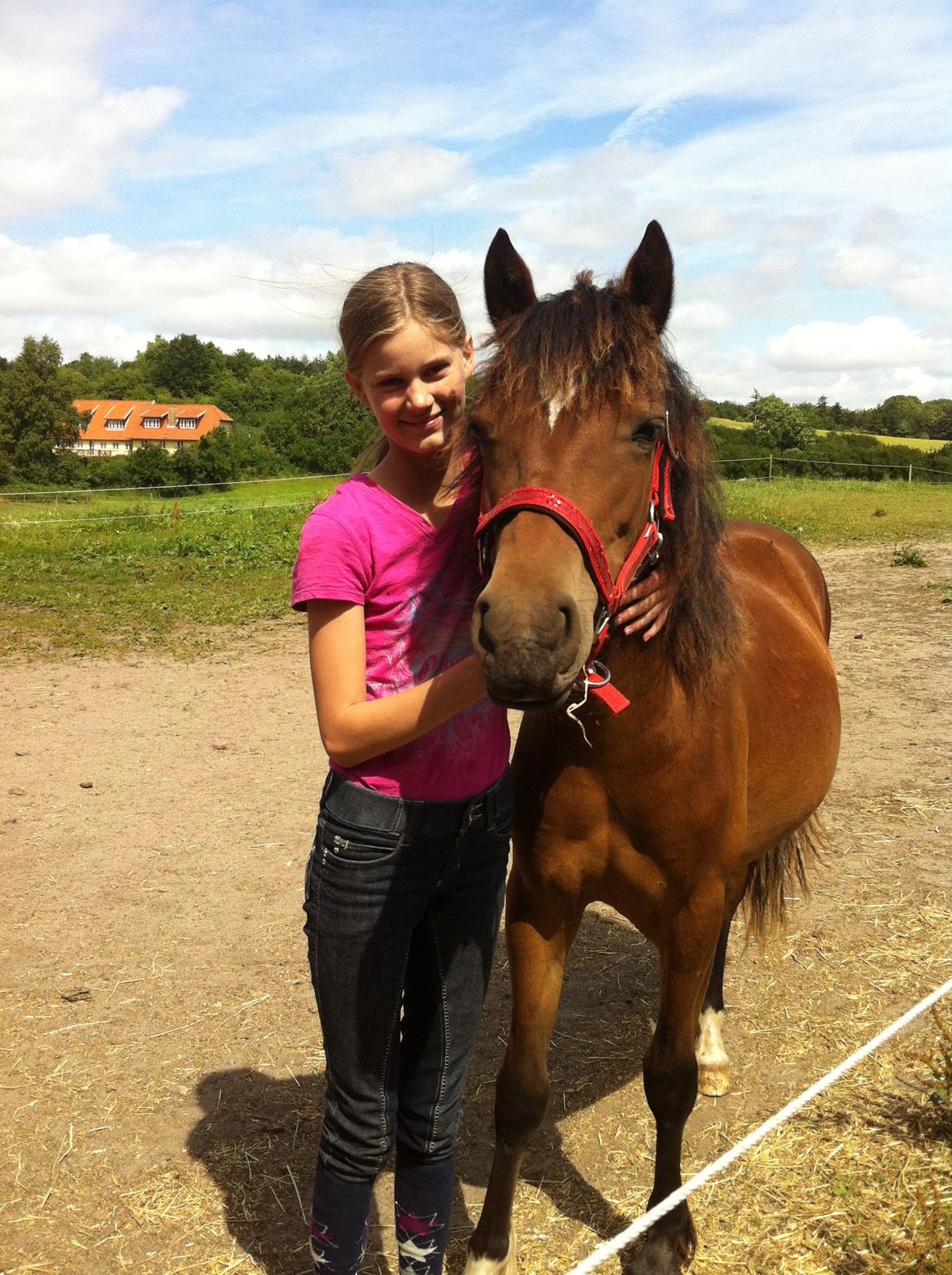 Welsh Pony af Cob-type (sec C) Mosetoftens Daisy - Daisy og mig billede 2