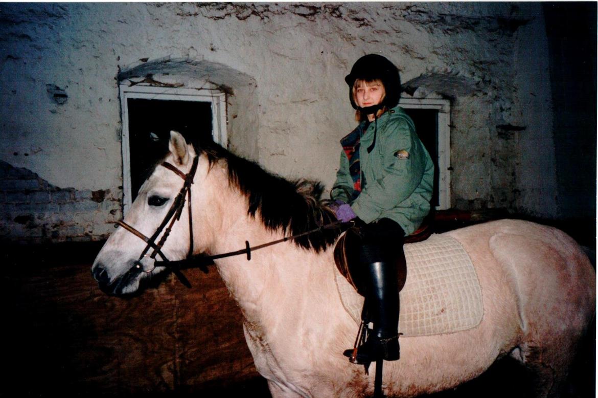 Connemara / Fjordhest - † Fanny † R.I.P. - Første gang der blev taget billeder af Fanny og mig :) billede 2