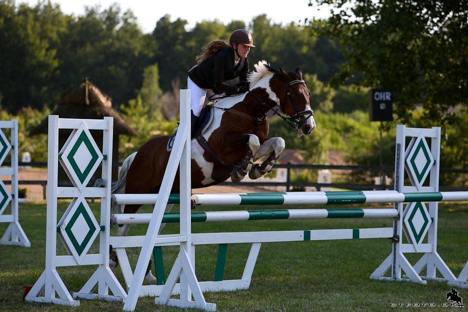 Irsk Sportspony Maglebjergs Miss Heaven B- pony billede 2