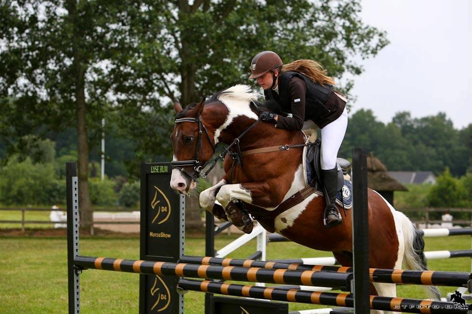 Irsk Sportspony Maglebjergs Miss Heaven B- pony billede 3