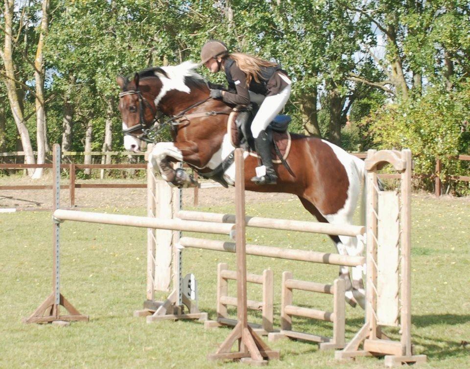 Irsk Sportspony Maglebjergs Miss Heaven B- pony billede 6