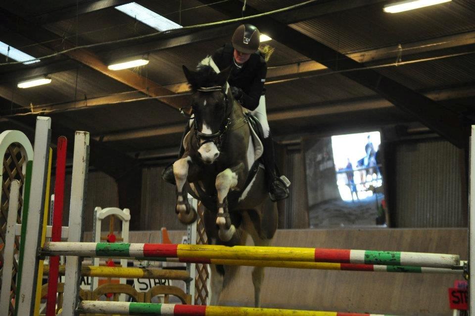 Irsk Sportspony Maglebjergs Miss Heaven B- pony billede 7