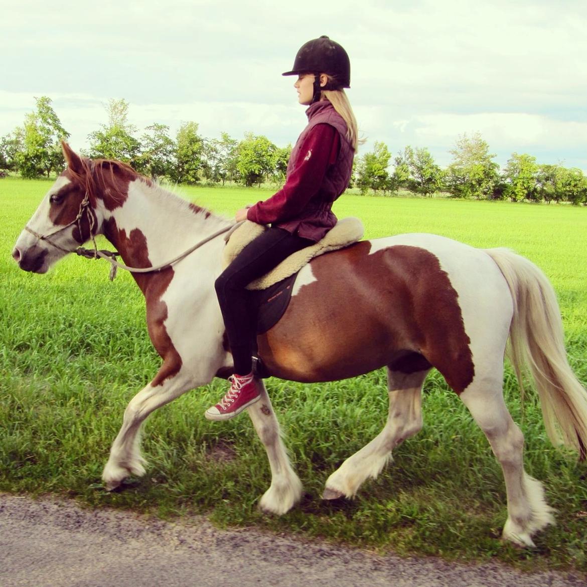 Pinto Tinker blanding Ronja "Ponyen med pletter" - På tur uden en anden hest for første gang. billede 14