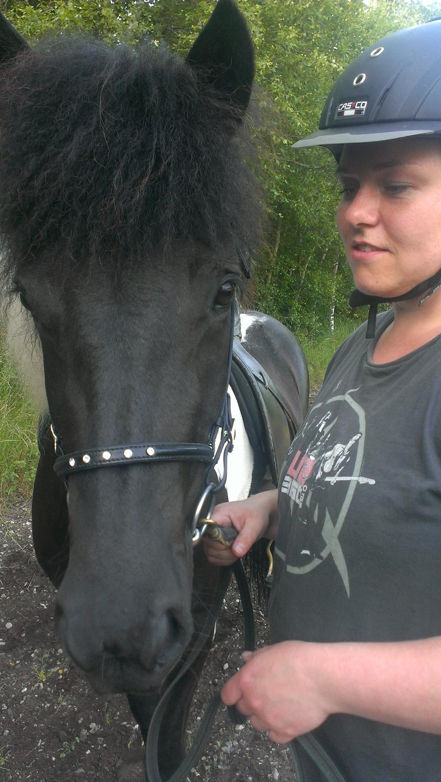 Islænder Geysa fra Grønnestrand - Efter 1. ridetur billede 12